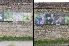 natura_mirabilis_survol_parcours_2