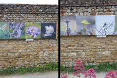 natura_mirabilis_survol_parcours_3