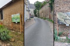 natura_mirabilis_survol_parcours_6